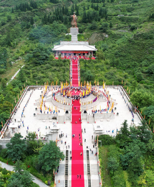 top 8 screen protector brands in India