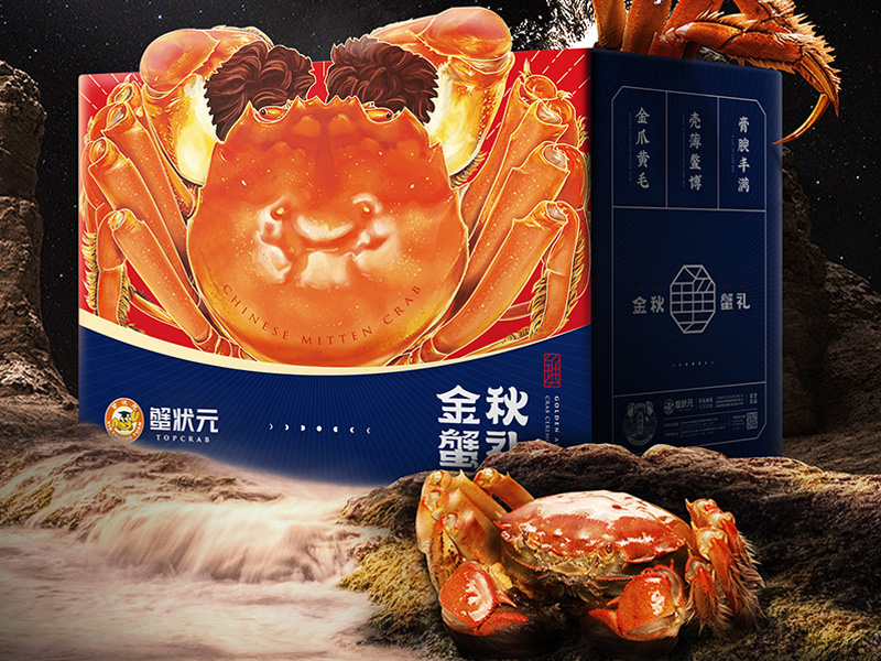 top 8 screen protector brands in India