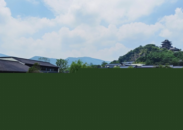 top 8 screen protector brands in India