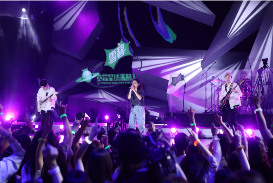 top 8 screen protector brands in India