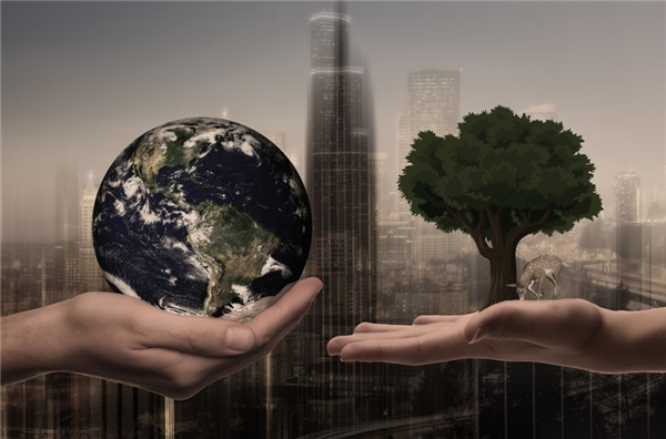 top 8 screen protector brands in India