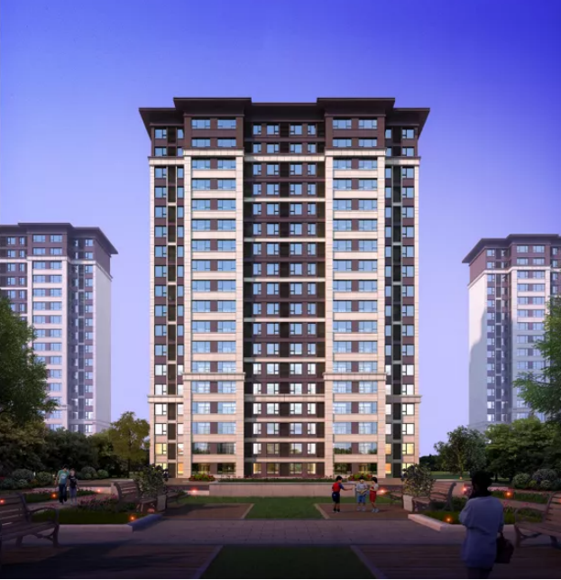 top 8 screen protector brands in India