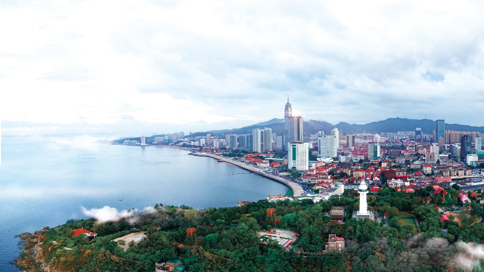 top 8 screen protector brands in India