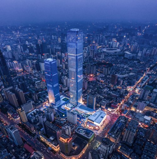 top 8 screen protector brands in India