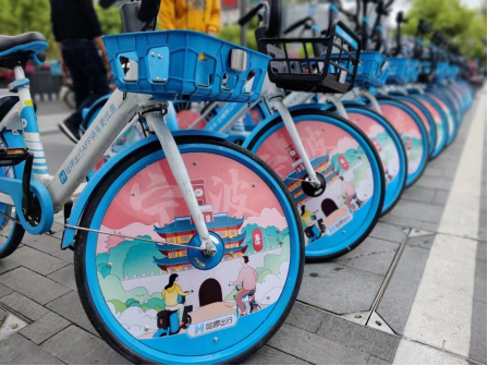 top 8 screen protector brands in India